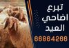 تبرع اضاحي العيد