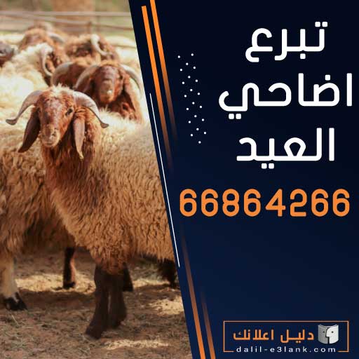 تبرع اضاحي العيد