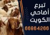 تبرع أضاحي الكويت