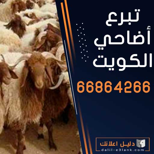 تبرع أضاحي الكويت