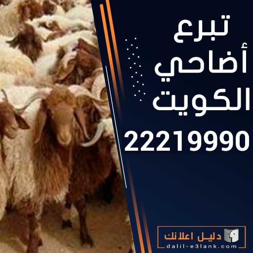 تبرع أضاحي الكويت