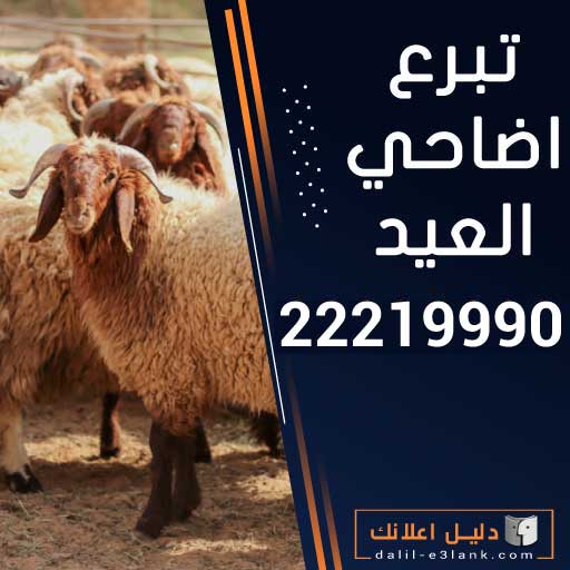 تبرع اضاحي العيد