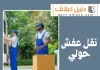 نقل عفش حولي